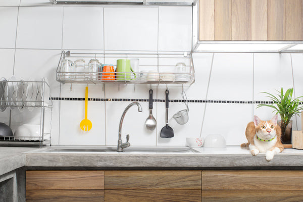 Home & Kitchen