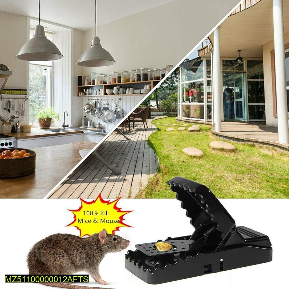 Heavy-Duty Rat & Mouse Trap🐁